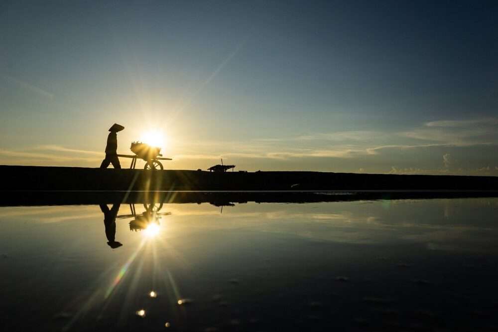 顔が暗くなる?逆光・炎天下でも失敗しない露出補正とフードの使い方