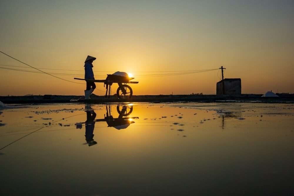 顔が暗くなる?逆光・炎天下でも失敗しない露出補正とフードの使い方
