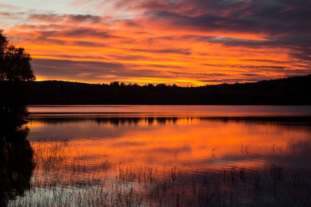 デジカメでエモい写真の撮り方:設定ひとつで“空気の色”が変わる理由