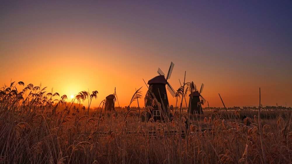 顔が暗くなる?逆光・炎天下でも失敗しない露出補正とフードの使い方